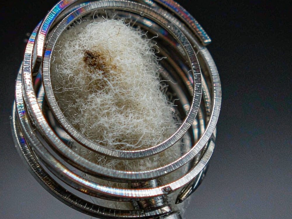 B2B Supply of Nicotine pods — 2026