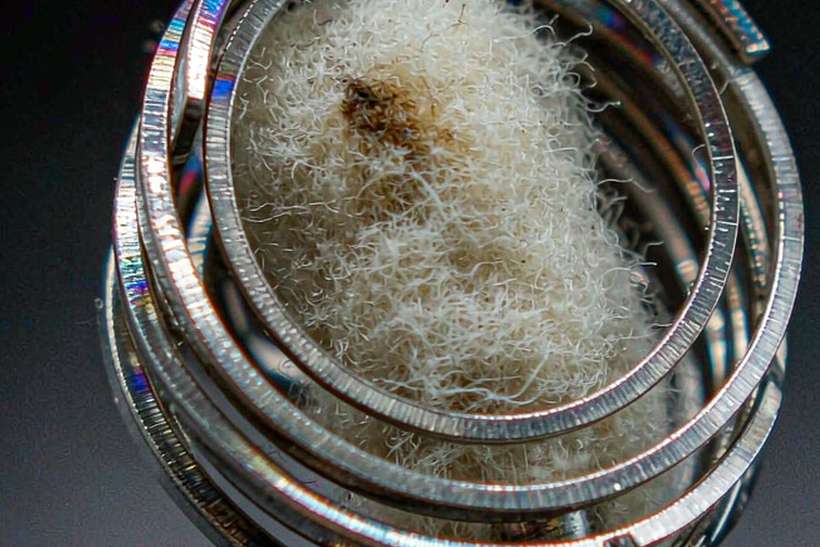 Bulk Distribution for Nicotine in Wales — EU stock