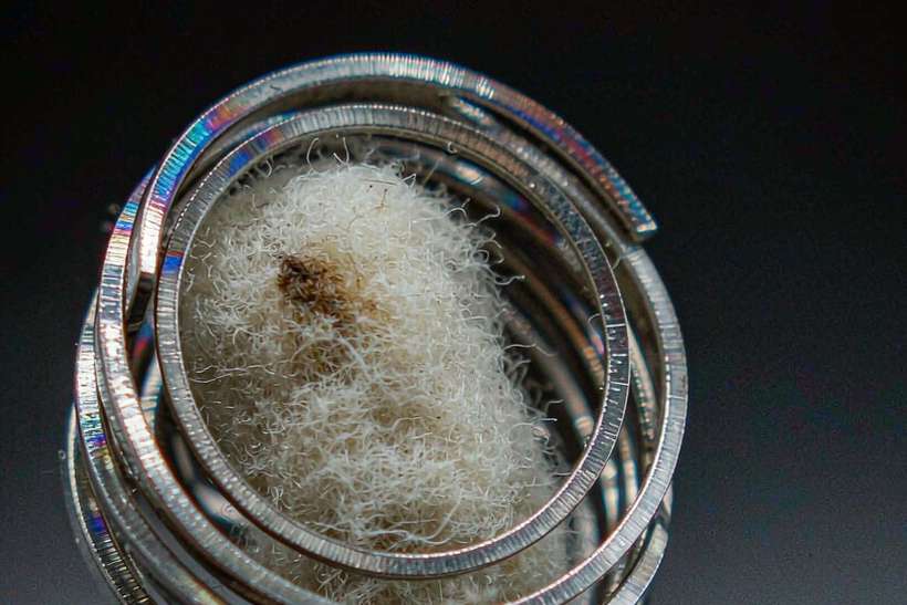 Bulk Distribution for Nicotine kits — Winter special