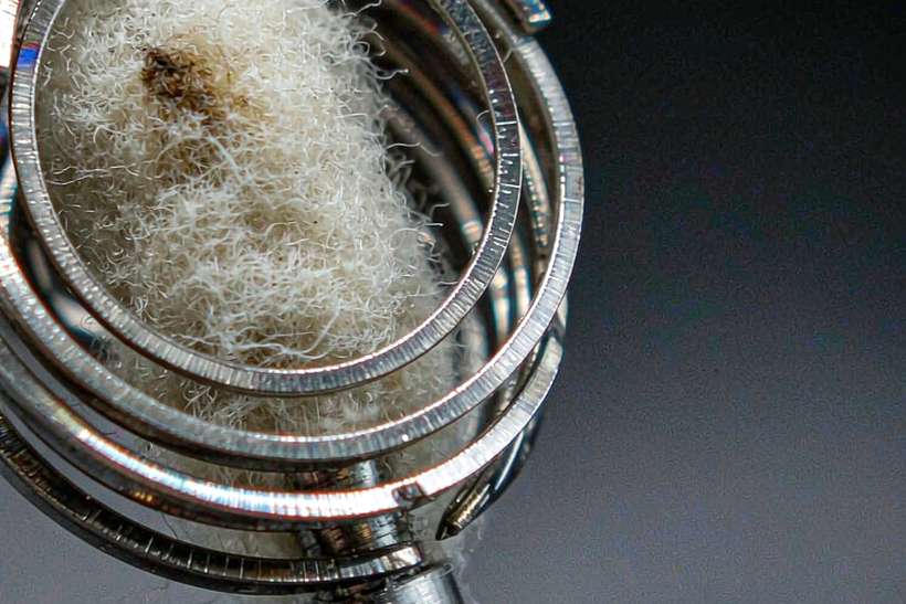 Buyer's Guide to Nicotine bundles — container load