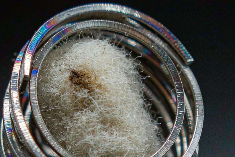 Buyer's Guide to Nicotine bundles — limited batch