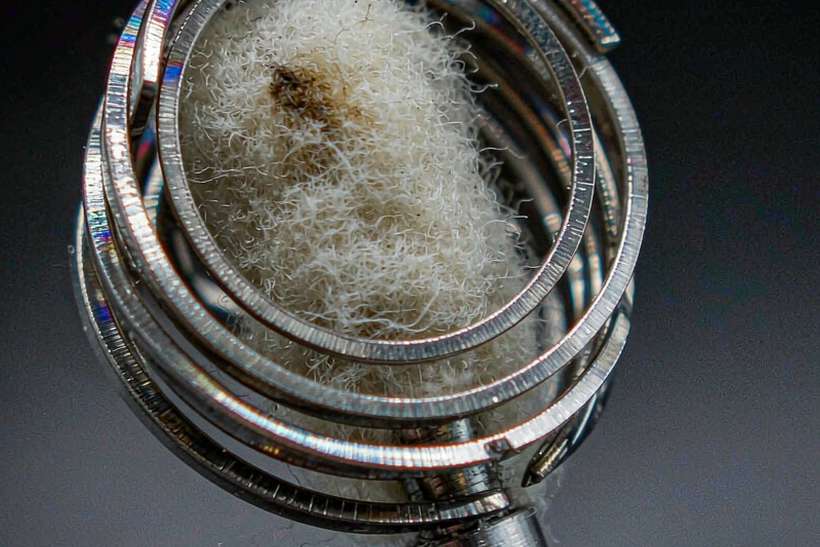 Buyer's Guide to Nicotine disposables — container load