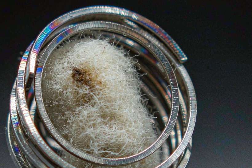 Case Study: Nicotine coils — Autumn stock