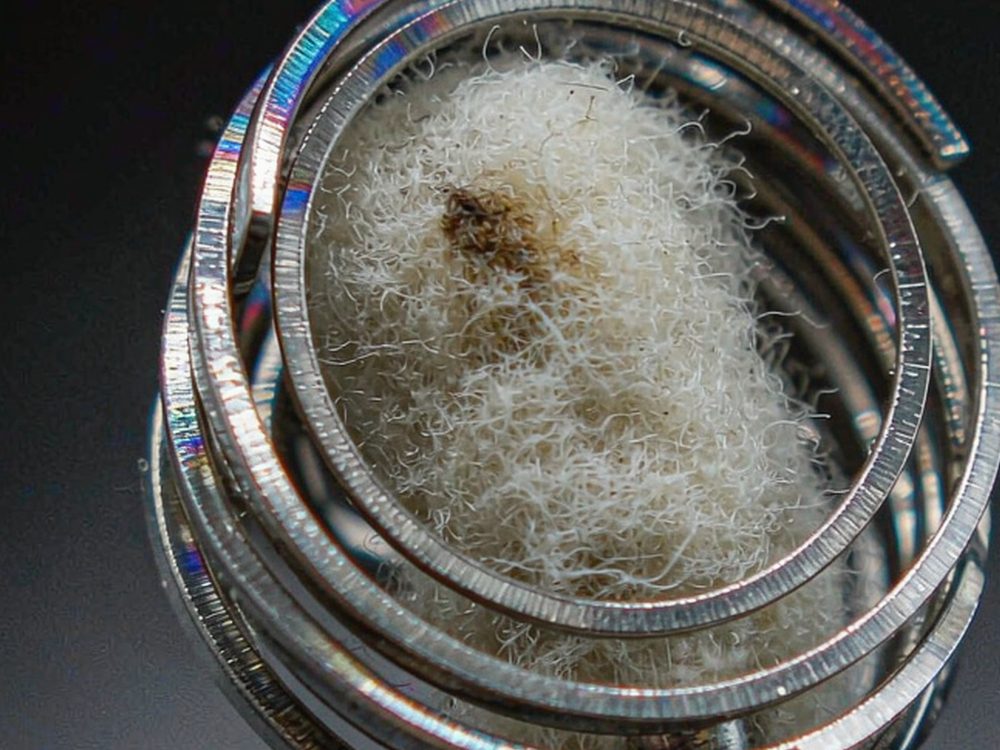 Case Study: Nicotine disposables — wholesale only
