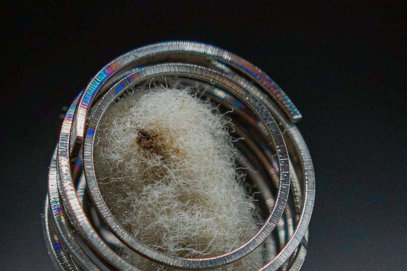Checklist for Nicotine disposables — small parcel