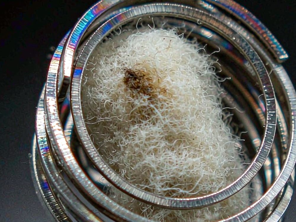 Checklist for Wales Nicotine — top rated