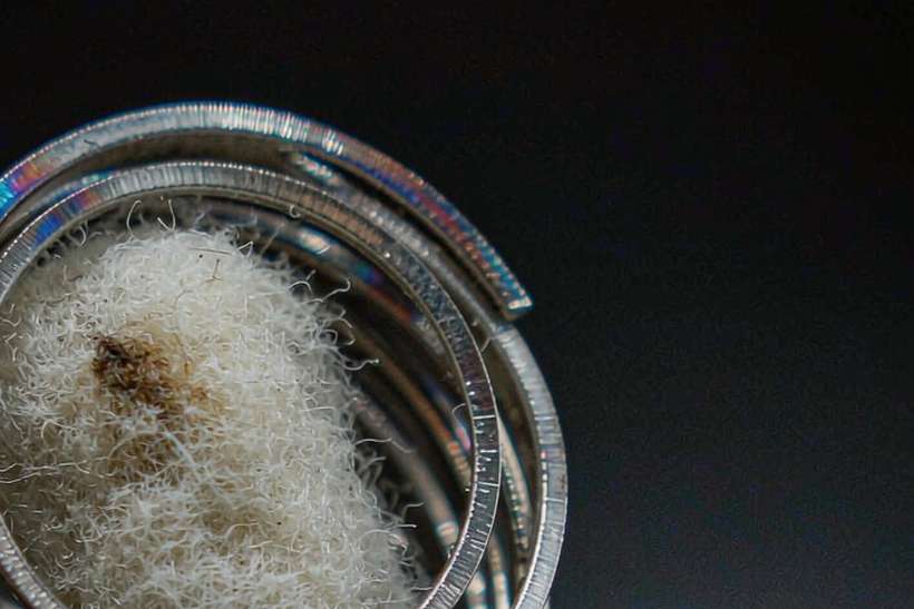 Comparison of Nicotine coils Suppliers — Winter special