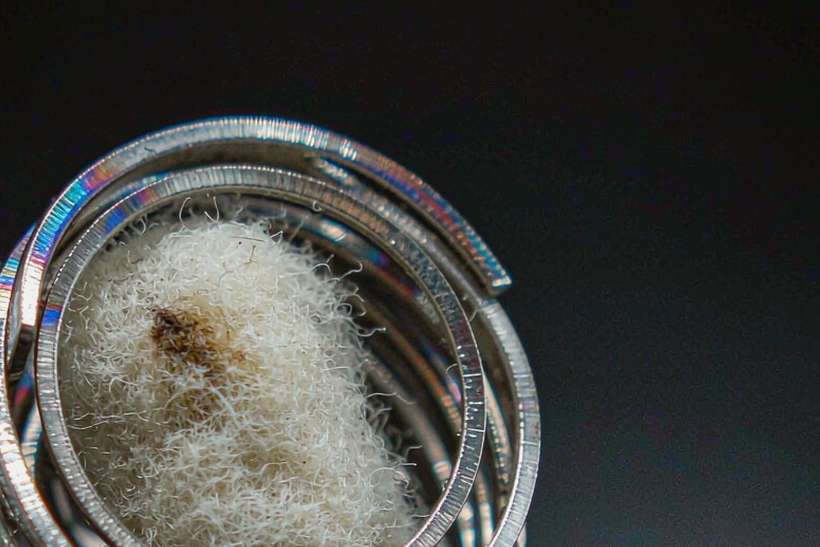 Device Catalog for Nicotine disposables — bulk case