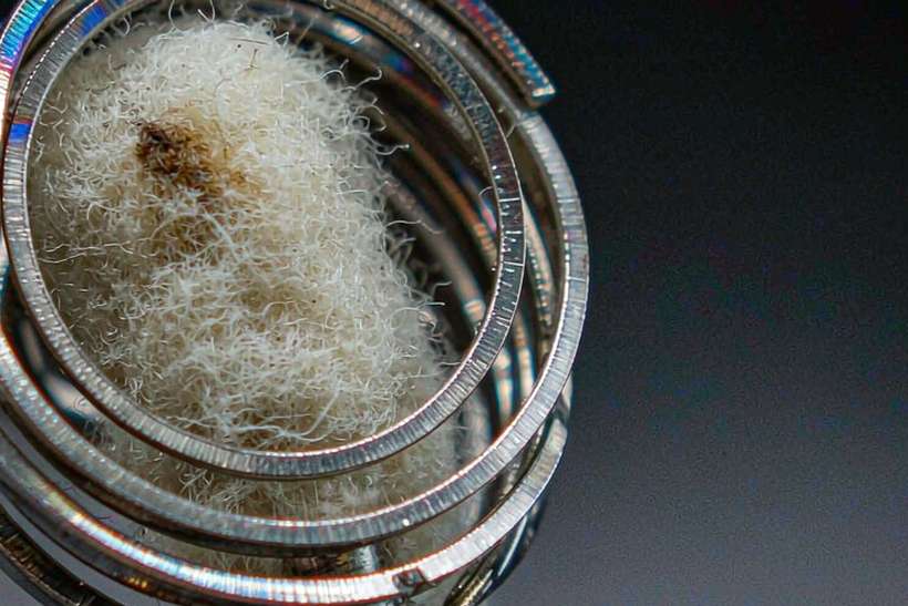 FAQ on Nicotine pods — container load