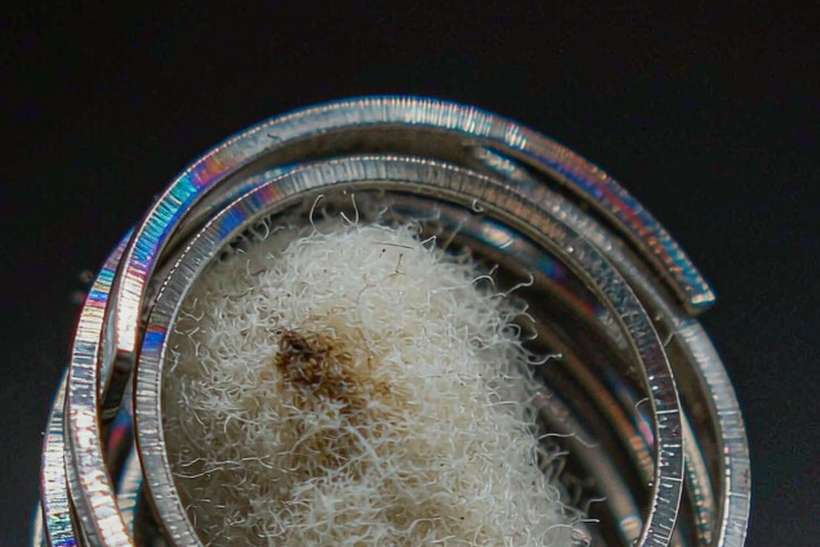 FAQ on Nicotine pods — Winter special