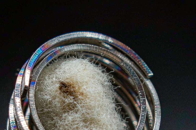 Flavor Catalog of Nicotine bundles — container load