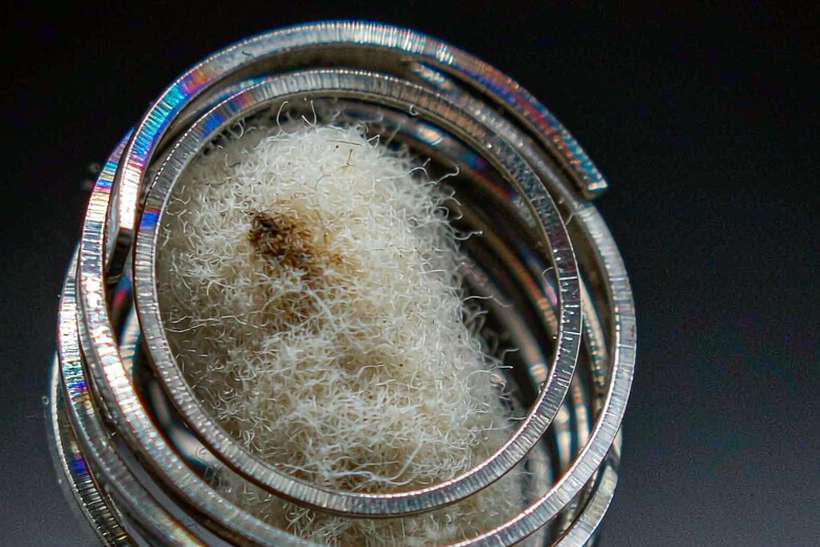 Flavor Catalog of Nicotine bundles — ODM ready