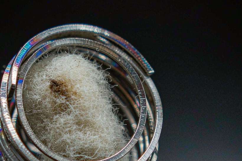 Glossary of Nicotine disposables — Asia Pacific