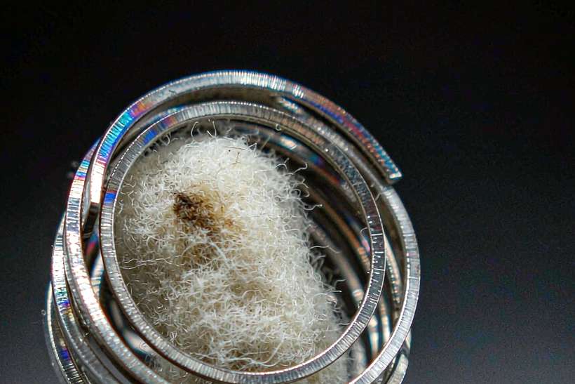 Glossary of Nicotine pods — ODM ready