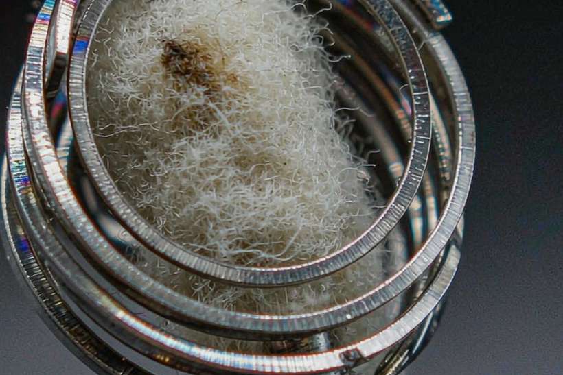 How to Store Nicotine coils — container load