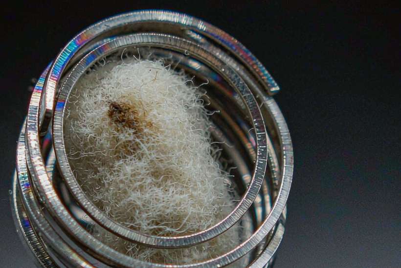 How to Store Nicotine hardware — Autumn stock