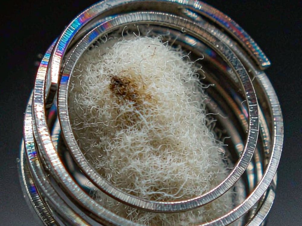 How to Store Nicotine products in Wales — bulk case