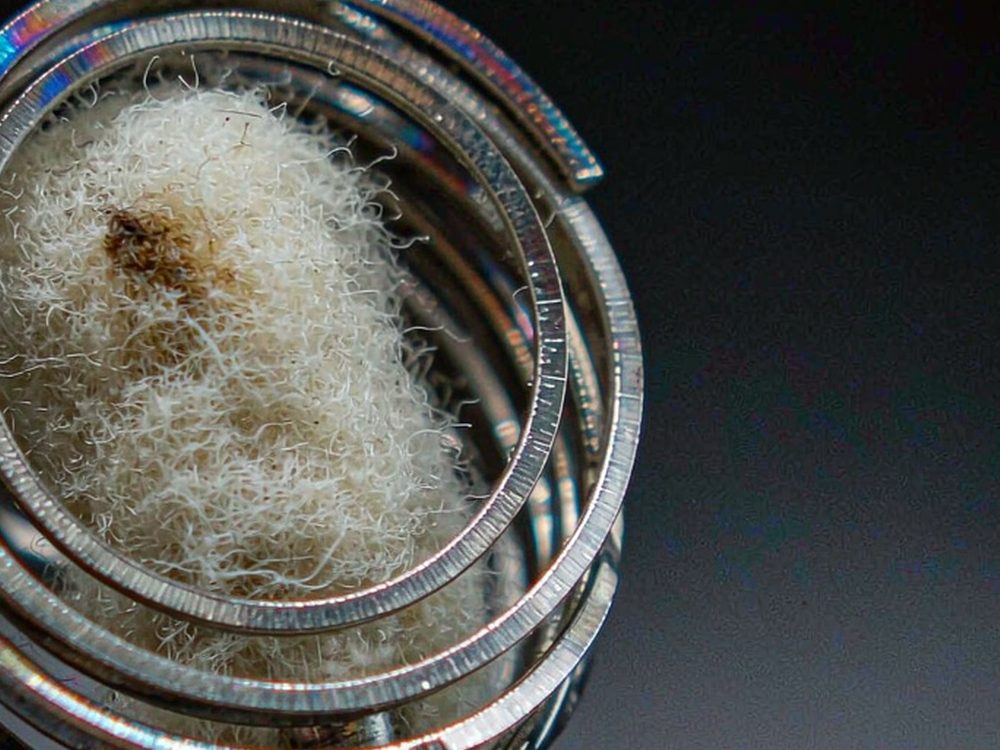 How to Store Wales Nicotine — bulk case