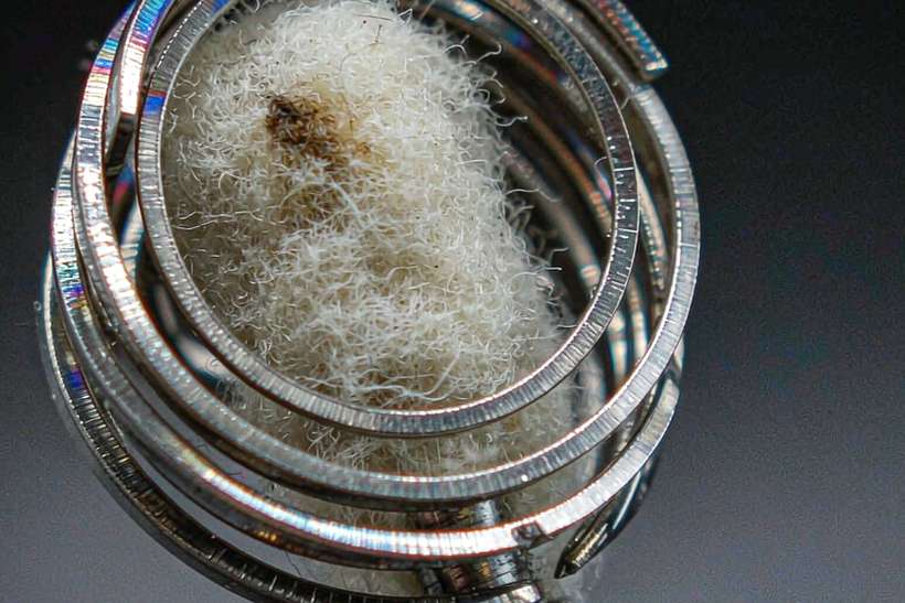 Market Overview of Nicotine bundles — Asia Pacific