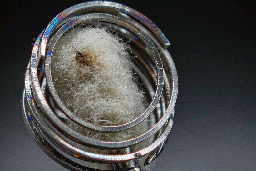 Market Overview of Nicotine bundles — Spring catalog