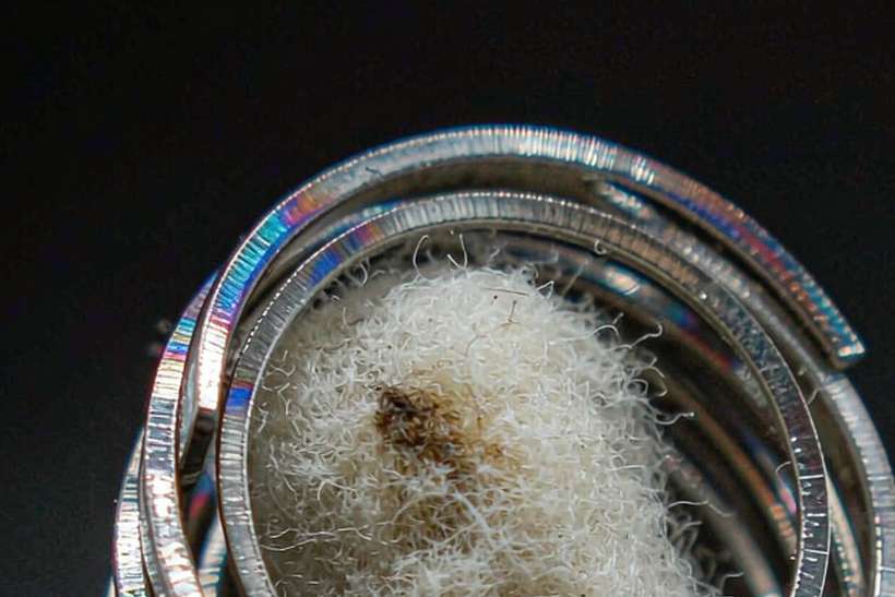 Market Overview of Nicotine coils — limited batch