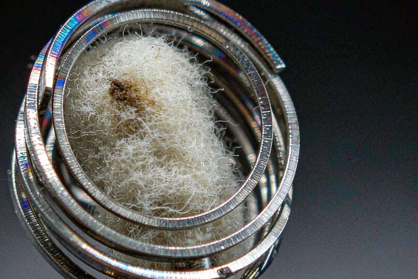 MOQ and Lead Time for Nicotine bundles — ODM ready