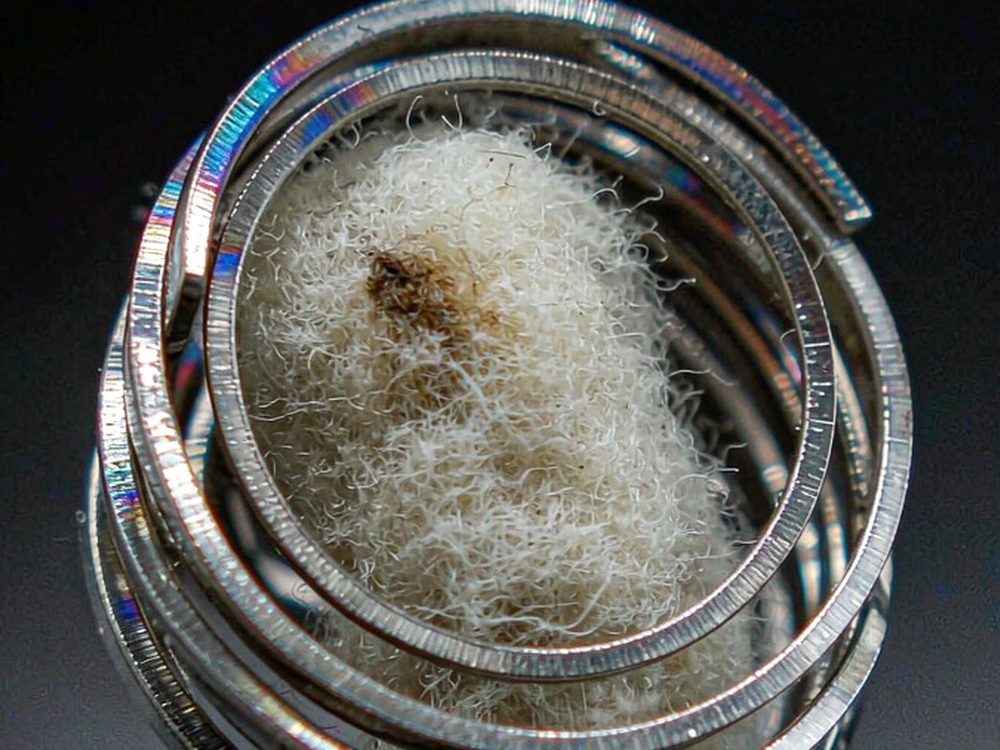 MOQ and Lead Time for Nicotine bundles — with fast shipping