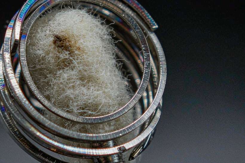 MOQ and Lead Time for Nicotine e-liquid — Autumn stock