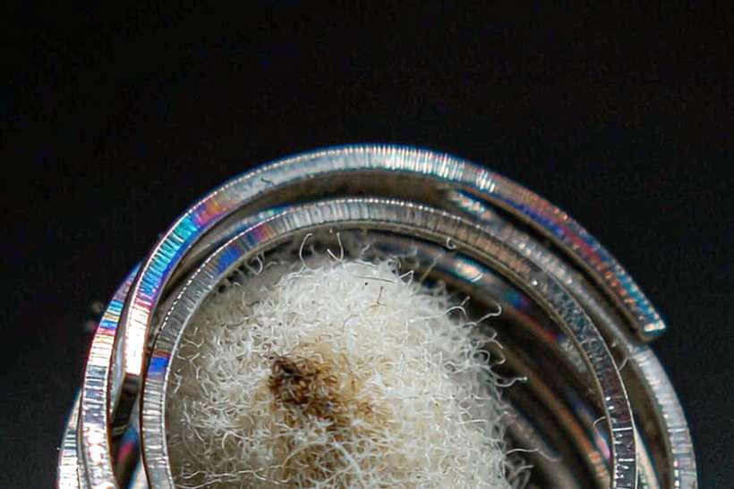 OEM and ODM Options for Nicotine mods — Winter special