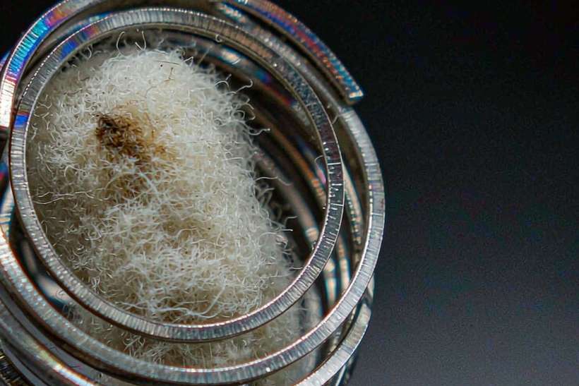 Regional Review of Nicotine bundles — Autumn stock