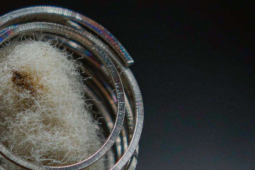 Regional Review of Nicotine bundles — limited batch