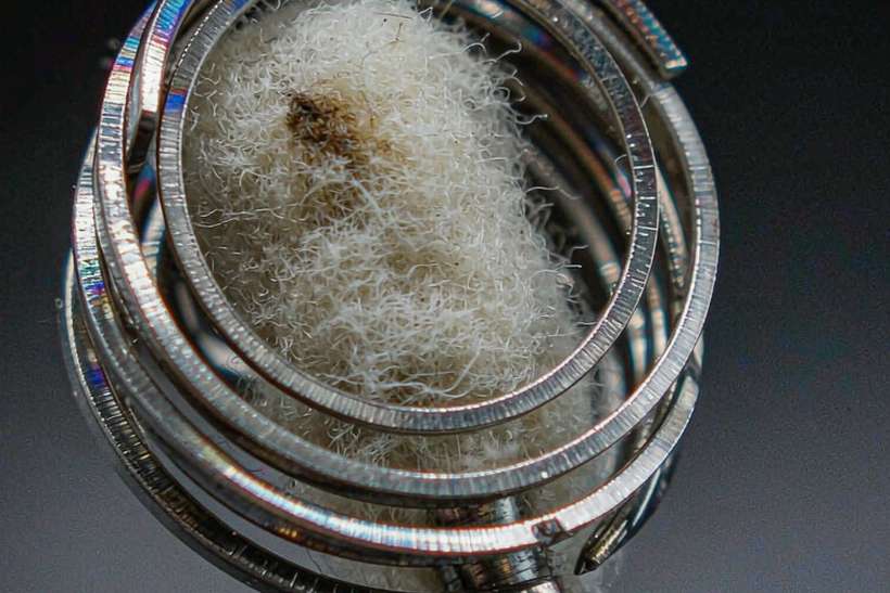 Regional Review of Nicotine coils — small parcel