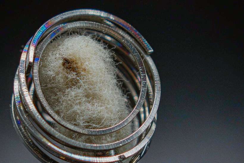 Regional Review of Nicotine hardware — ODM ready