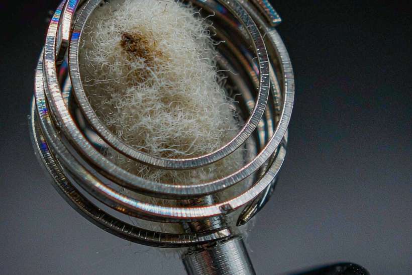 Regional Review of Nicotine in Wales — Winter special