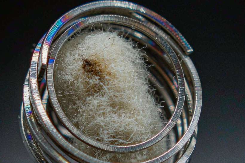 Regional Review of Nicotine pods — EU stock