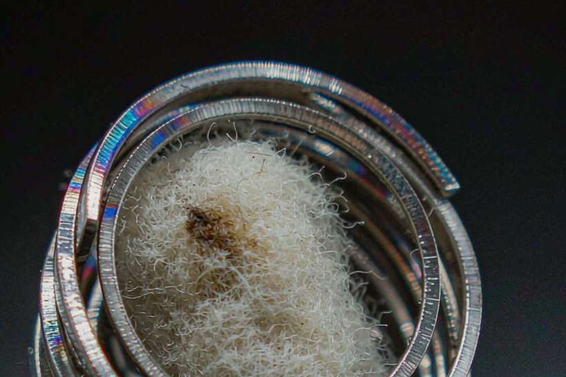 Regional Review of Nicotine pods — Spring catalog