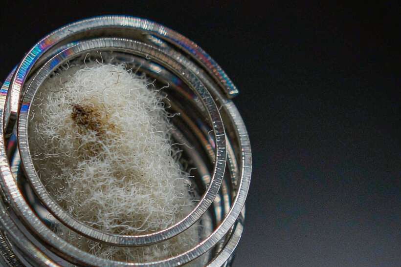 Restocking Nicotine in Wales — Asia Pacific