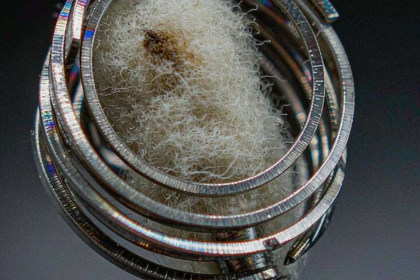 Restocking Nicotine in Wales — OEM available