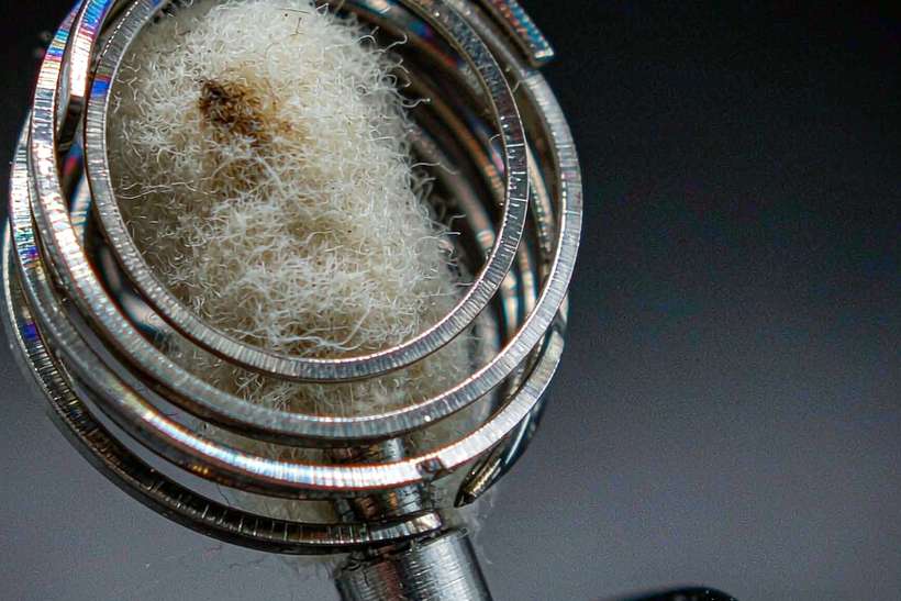 Sourcing Report on Nicotine coils — Winter special