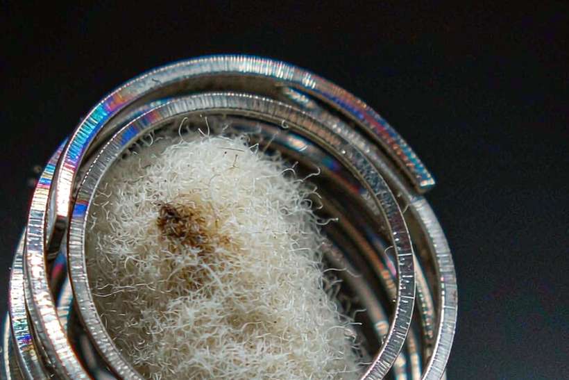 Sourcing Report on Nicotine e-liquid — limited batch