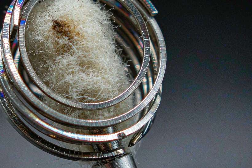 Sourcing Report on Nicotine mods — Spring catalog