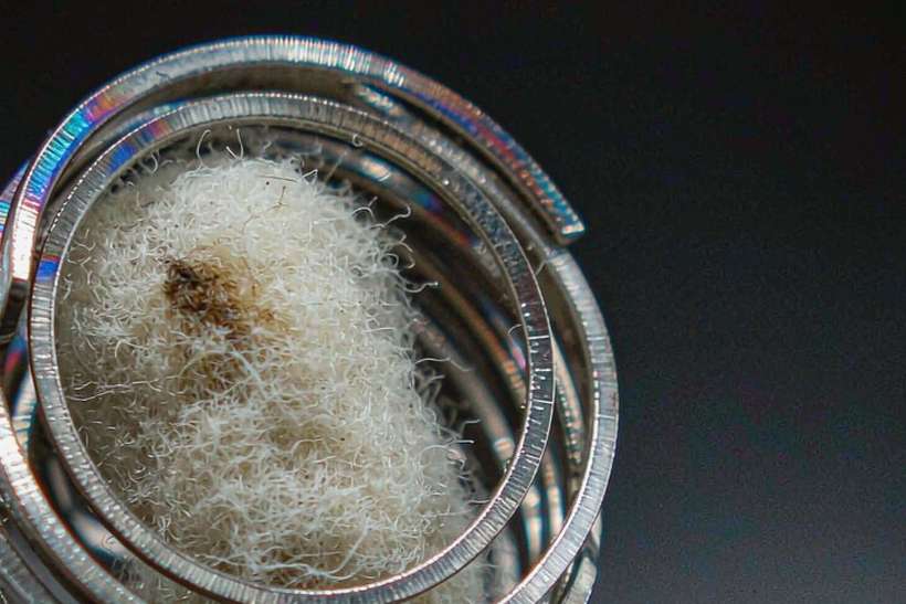 Sourcing Report on Nicotine pods — Spring catalog