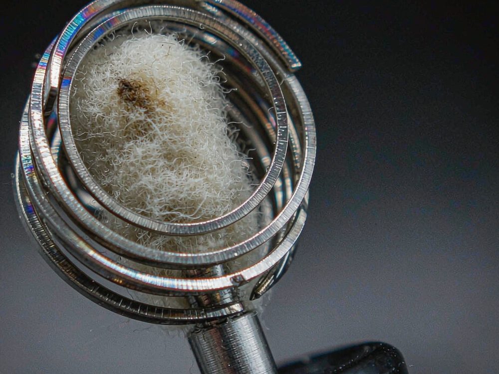Sourcing Report on Nicotine products in Wales — budget tier