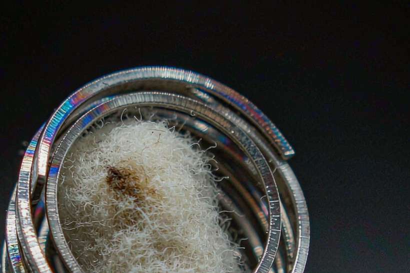 Top Picks of Nicotine disposables — small parcel
