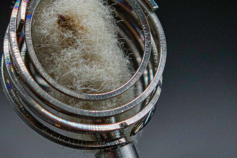 Trend Report on Nicotine coils — Autumn stock