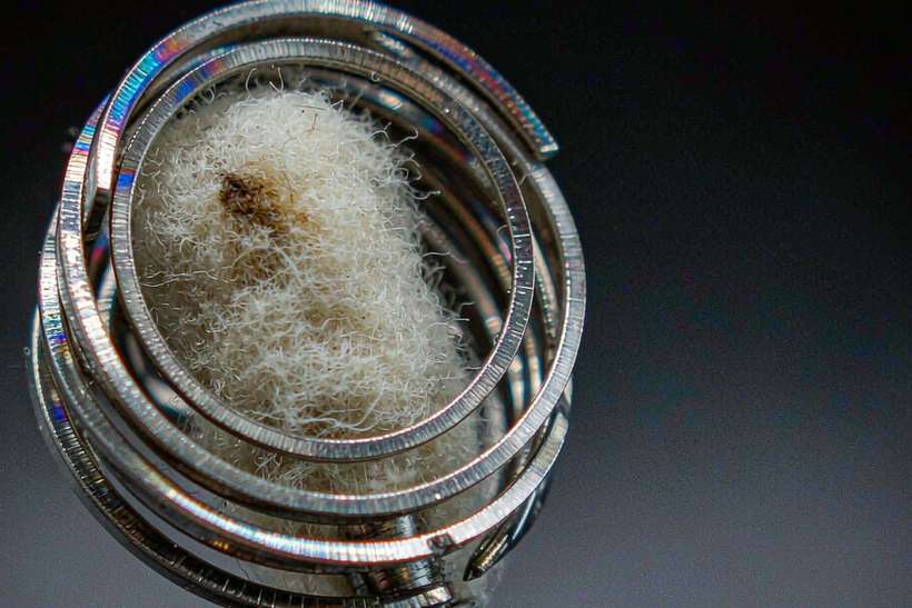 Trend Report on Nicotine disposables — ODM ready