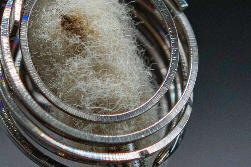 Trend Report on Nicotine e-liquid — ODM ready