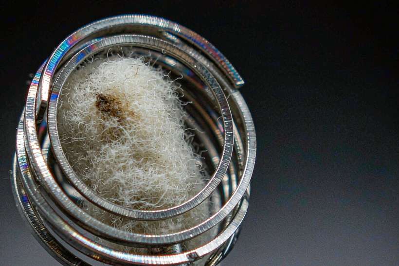 Trend Report on Nicotine hardware — OEM available