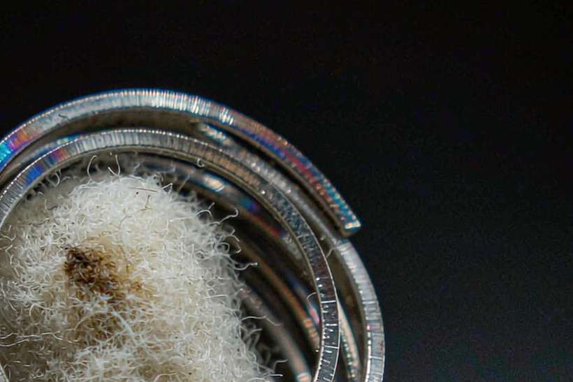 Trend Report on Nicotine hardware — small parcel