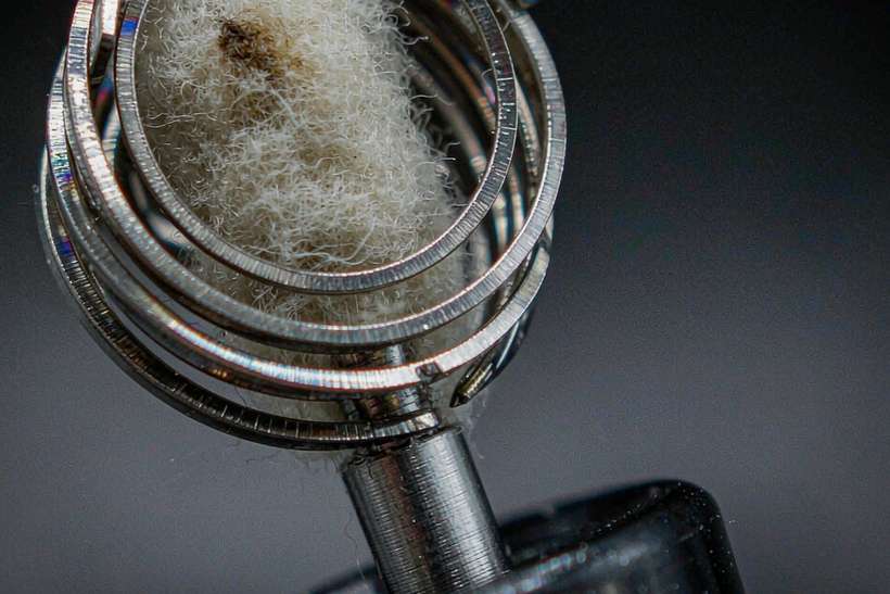 Trend Report on Nicotine kits — Winter special